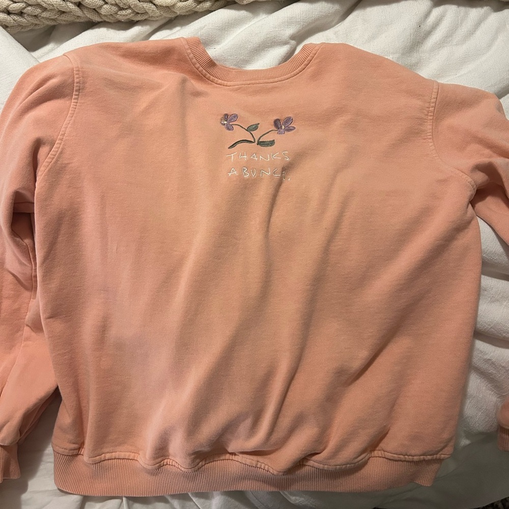 Urban Outfitters Embroidered Sweatshirt